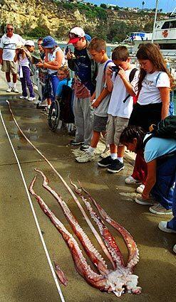 SOMETHING TO BEHOLD: Schoolchildren line up to see remains of a giant squid found off Dana Point in 2000. The 20-foot creature was thought to have been attacked by a large shark or a sperm whale.