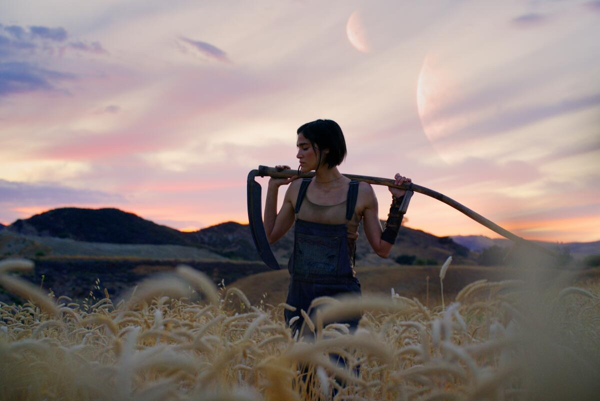 A wheat farmer works under two moons.