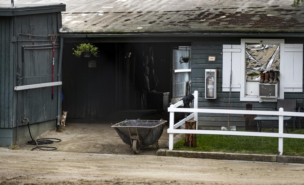 A cat sits at a stable doorway as boots dry on an old air conditioner at Santa Anita Park on Saturday.