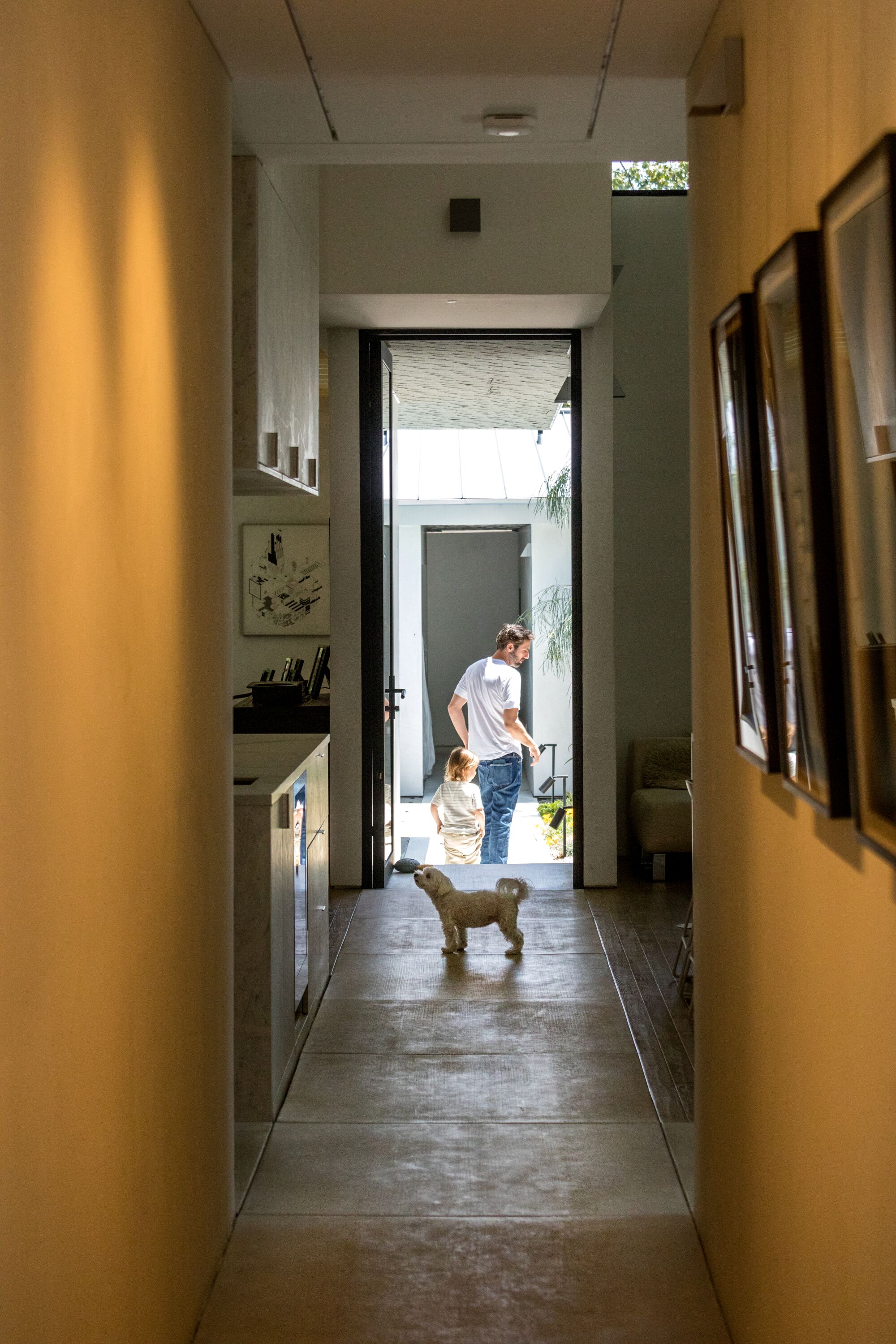 A dog stands on a concrete sidewalk that runs through the house 