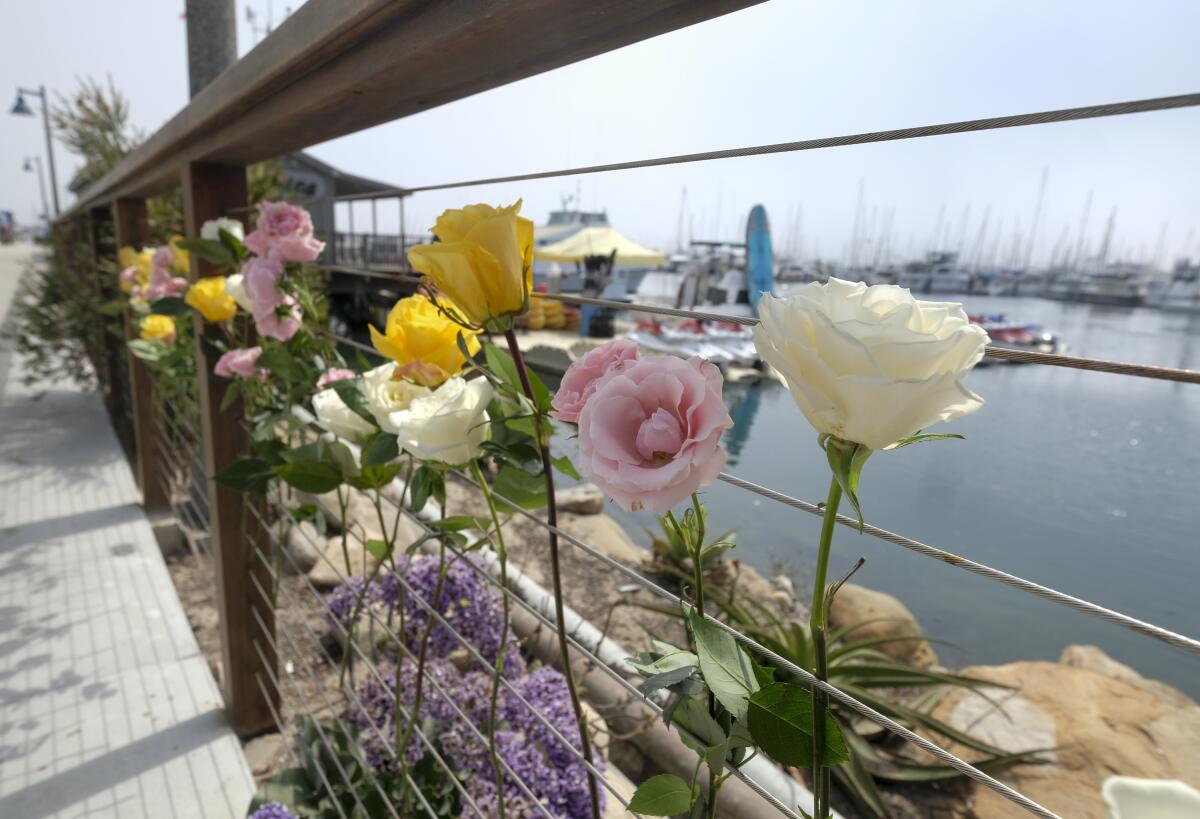 Numerosas flores fueron colocadas en una cerca en el puerto de Santa Bárbara en memoria de las víctimas del incendio en el bote de California.