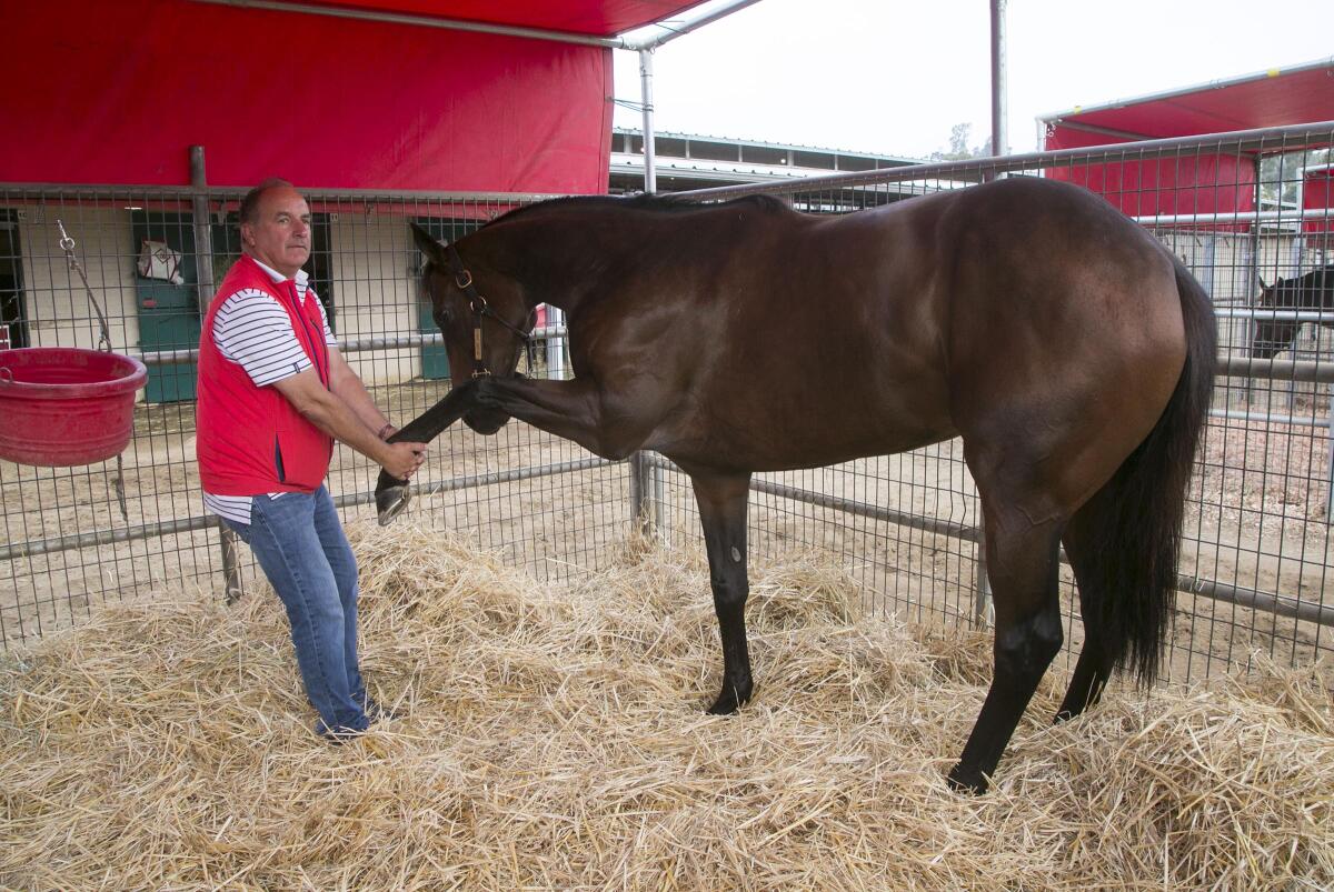 Trainer Richard Baltas, stretching Two Thirty Five, got his first Grade 1 stakes victory  Saturday at Santa Anita with Idol.