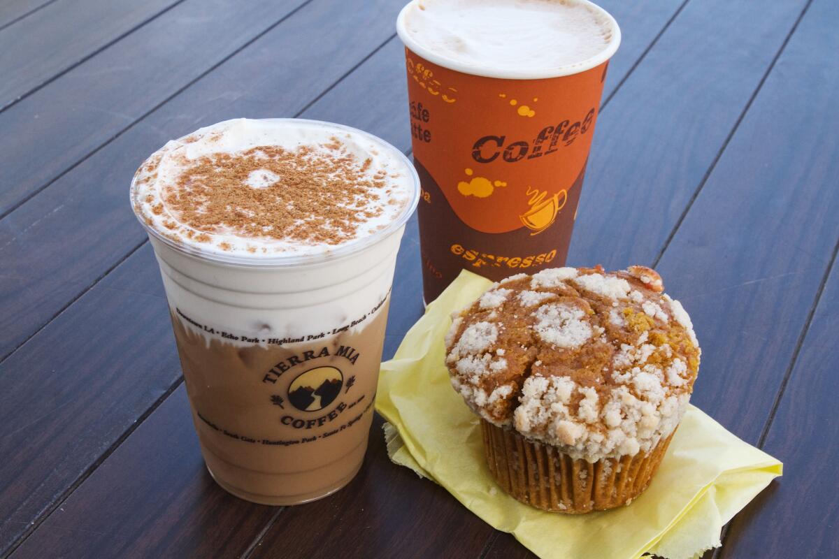 One cold and one hot pumpkin spice coffee drink from Tierra Mia, with a pumpkin muffin, on a table.