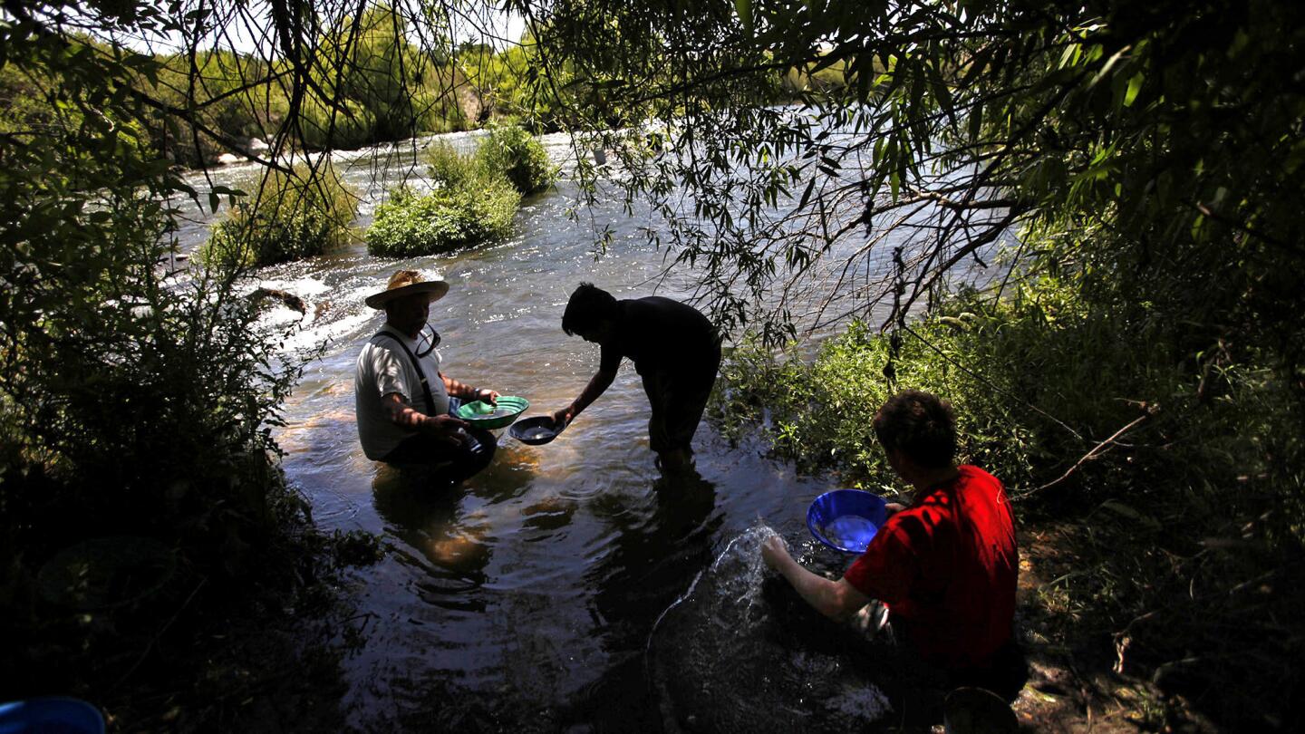 Prospectors Jay O'Dell, left, his nephew's son Brock O'Dell and Clayton Cook pan for gold in the Kern River near Hart Park in Bakersfield.