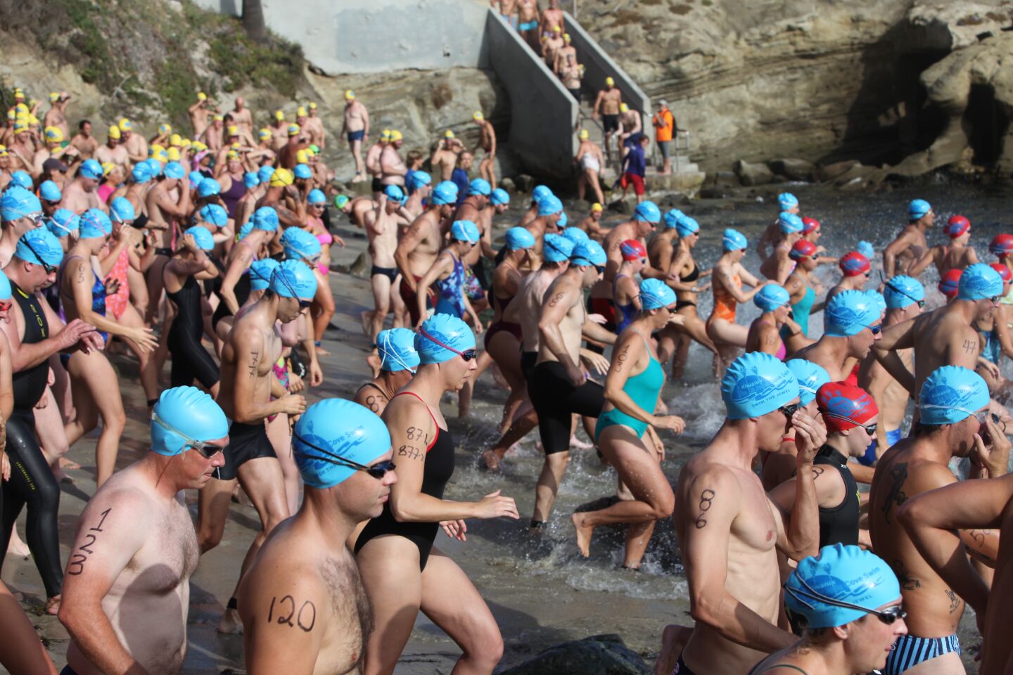 Hundreds of swimmers take to the water Sept. 11 from La Jolla Cove beach.