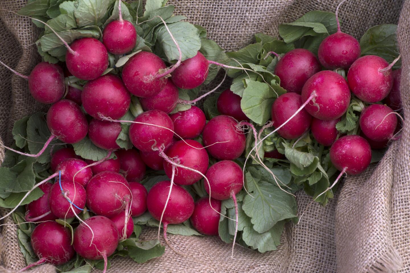 Radishes for sale at Larchmont farmers market