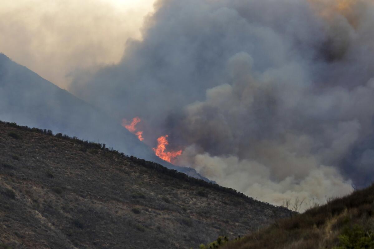 Planes and helicopters battle a fire burning on Boney Mountain in Point Mugu State Park.