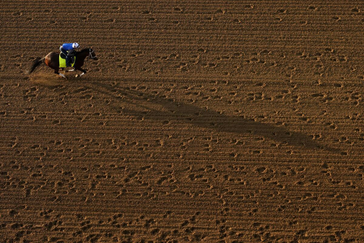 Preakness Stakes entrant Catching Freedom works out at Churchill Downs on May 2 in Louisville, Ky. 