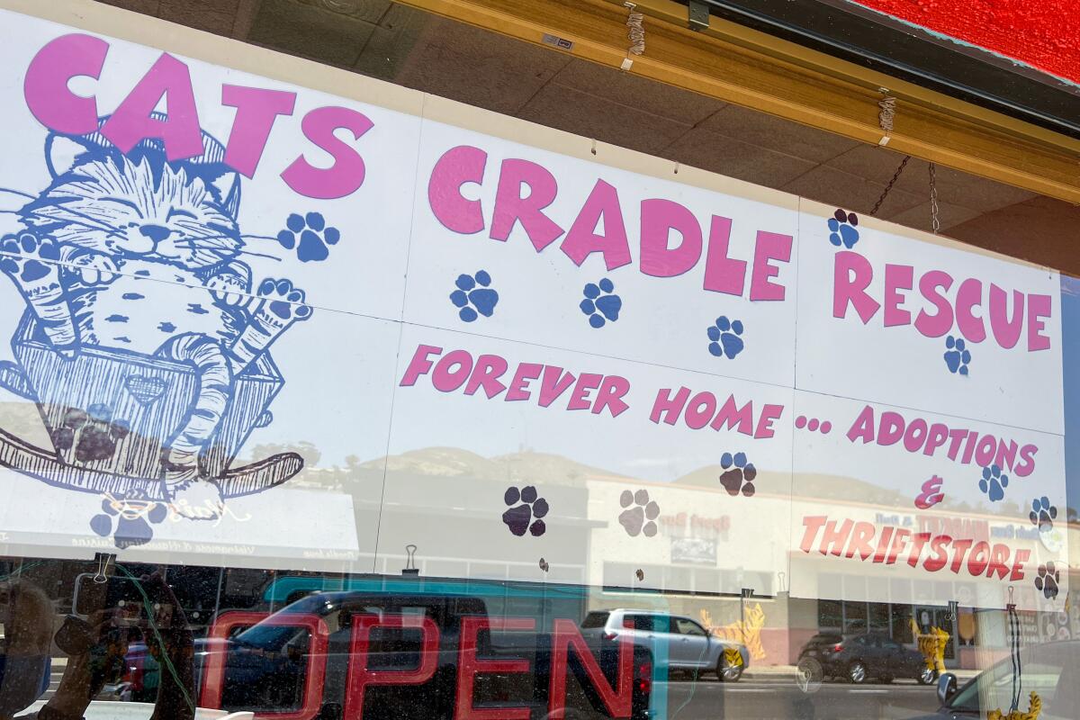 Cats Cradle Rescue Thrift Shop & Adoption Center at 1954 E. Main. St. in Ventura.