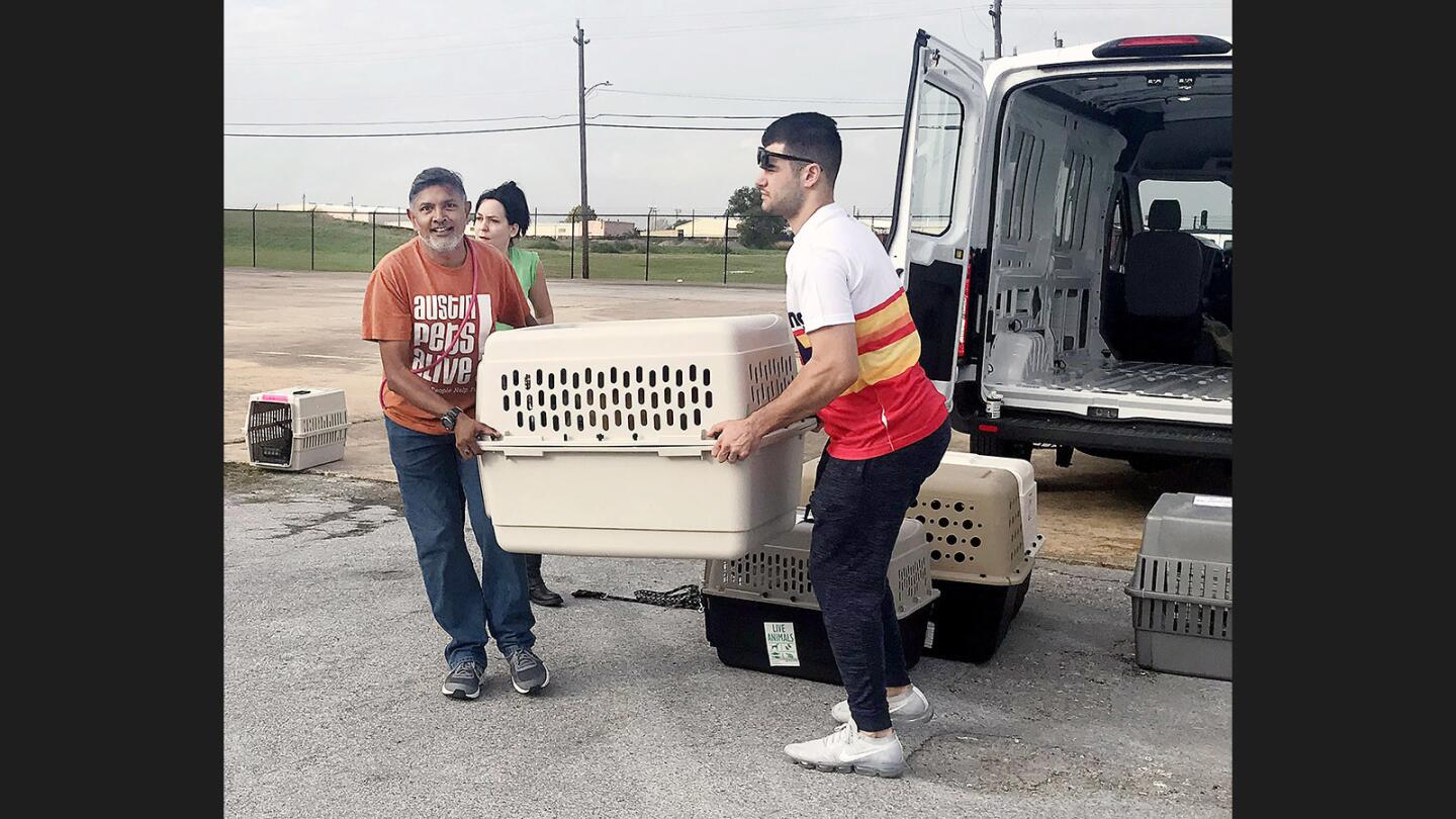 Photo Gallery: Lucy Pet Foundation rescues planeload of pets originating from Houston, TX