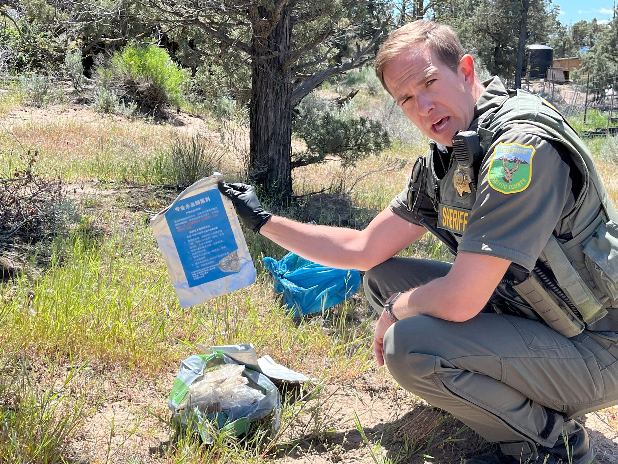 Siskiyou County Sheriff Jeremiah LaRue inspects Chinese-labeled pesticides found stashed in a tree.