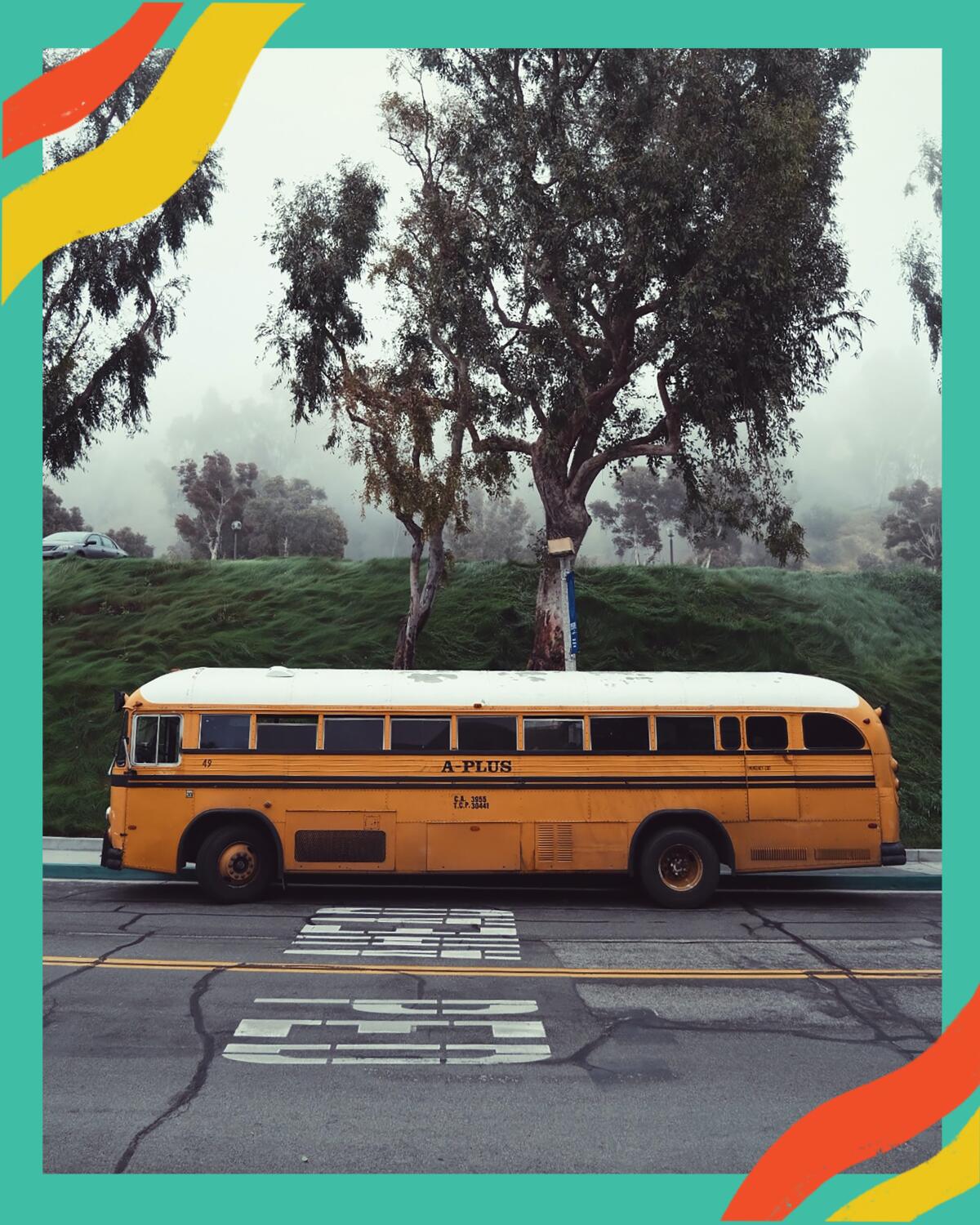 School buses aren't just for transportation — they can be vacation retreats.