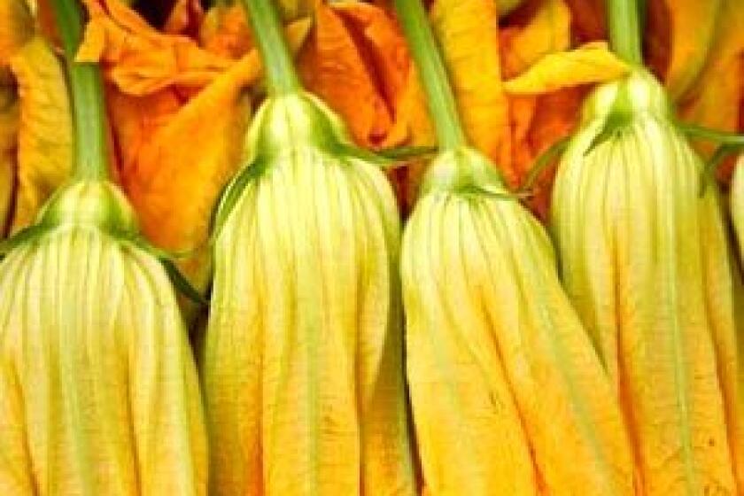 IN SEASON: The very best way to cook zucchini blossoms is to fry them.