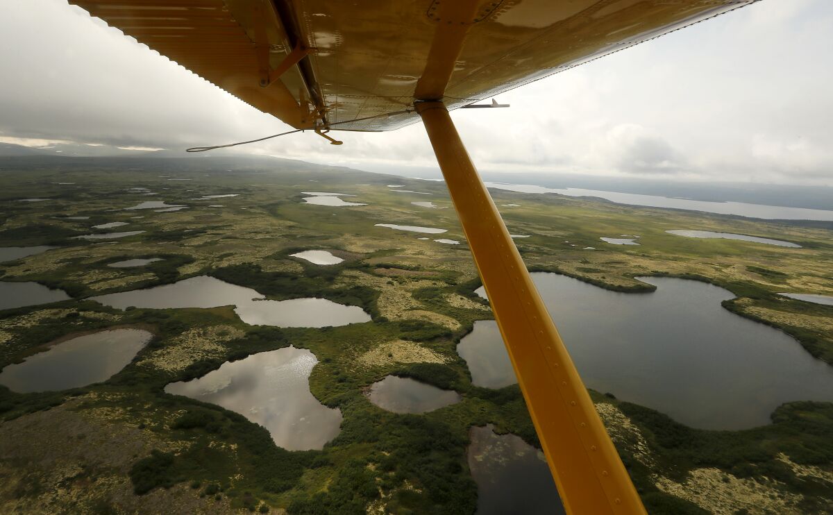 Lakes fan out beneath the wing of a float plane as it flies above tundra in July near the site of Pebble Mine in Alaska.