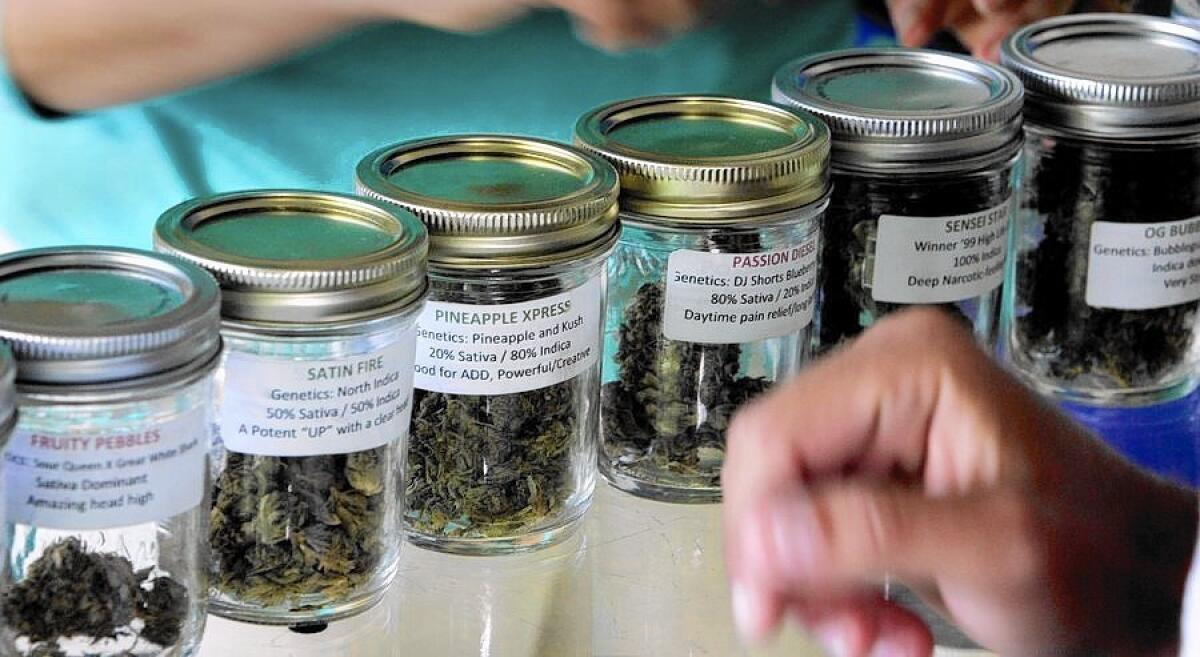 A new state law says cities with no medical marijuana cultivation rules by March 1 will permanently cede that authority to the state, but the deadline was a mistake.