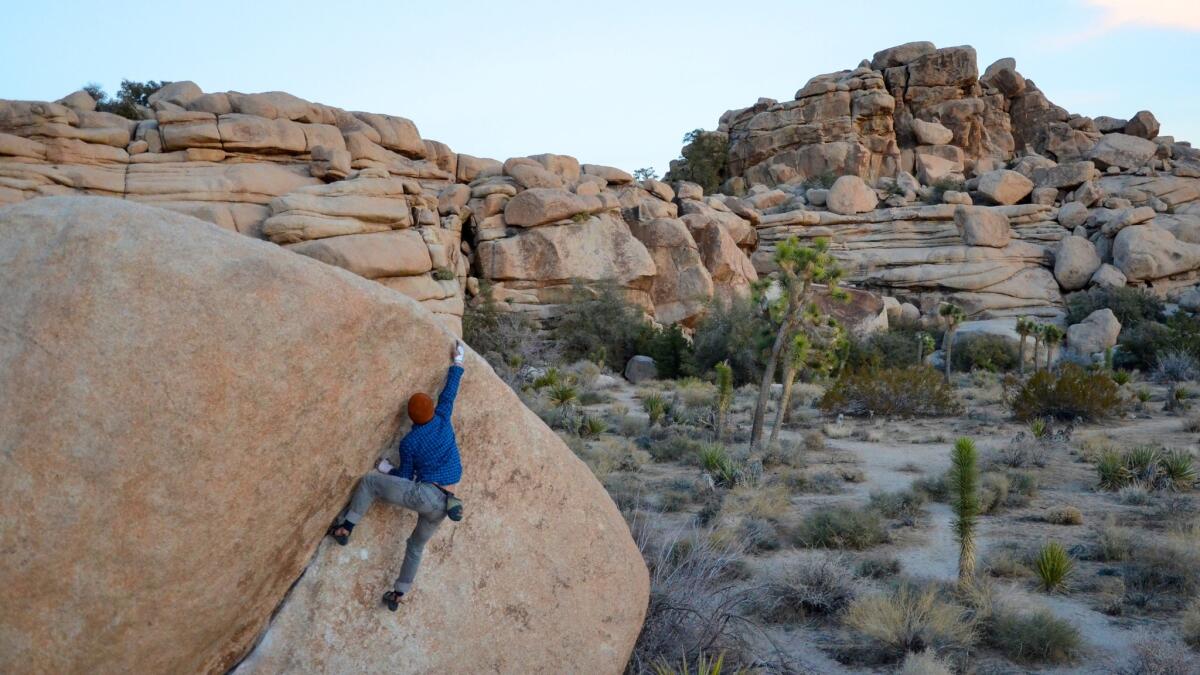 Boulderer, Joshua Tree National Park.