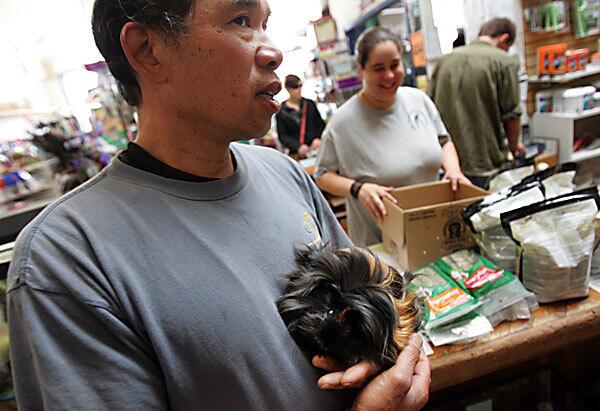San Francisco weighs ban on pet sales
