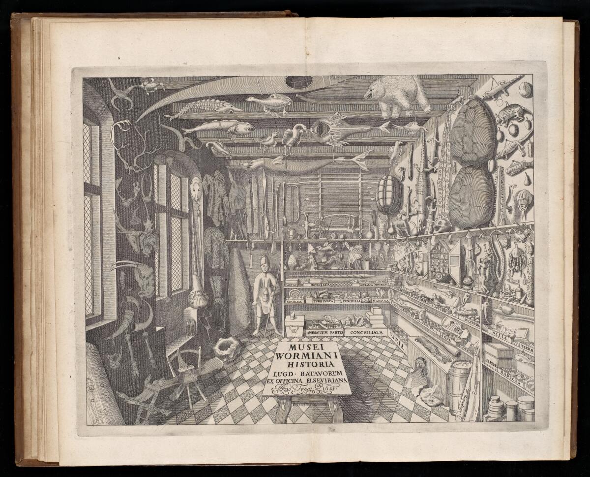 A scan of a 17th century book shows an engraving of a cluttered cabinet of curiosities filled with taxidermy.