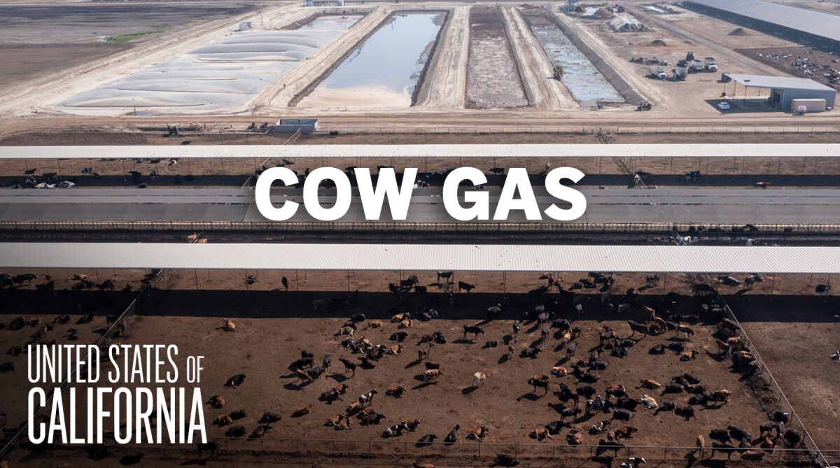Is California’s biofuel program good for the planet?