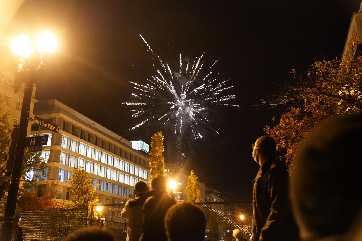 People watch fireworks as they celebrate near the White House.