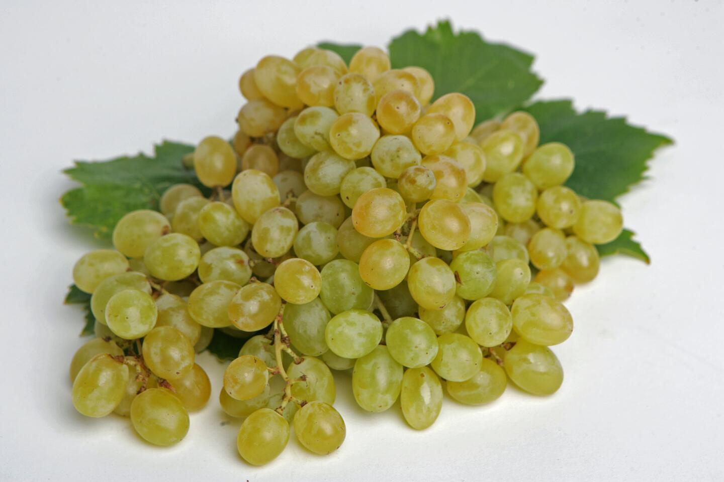 Notice the color on these Thompson seedless grapes. They're almost amber. That means they're perfect.