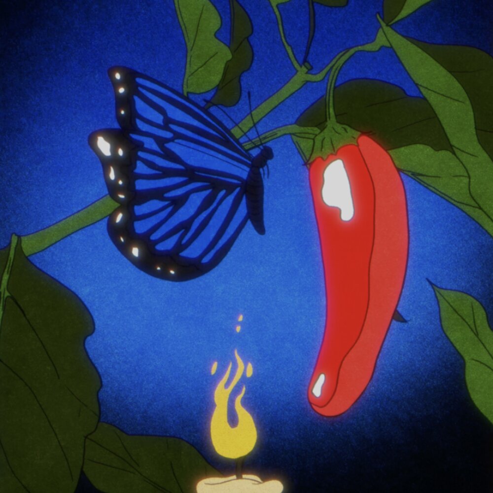 Illustration of a candle, chile pepper and butterfly 