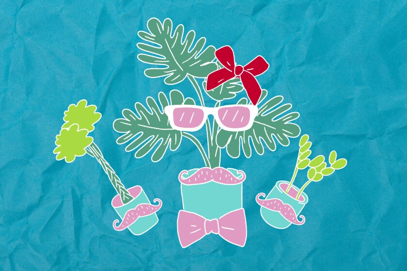 Illustration of three potted plants adorned with mustaches. One also has a bowtie and glasses. 