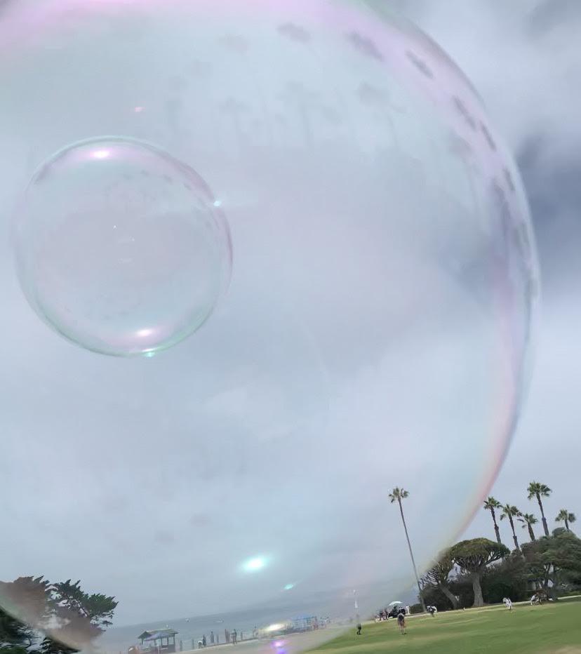 Tori Reimann Cove bubble reflection.jpeg