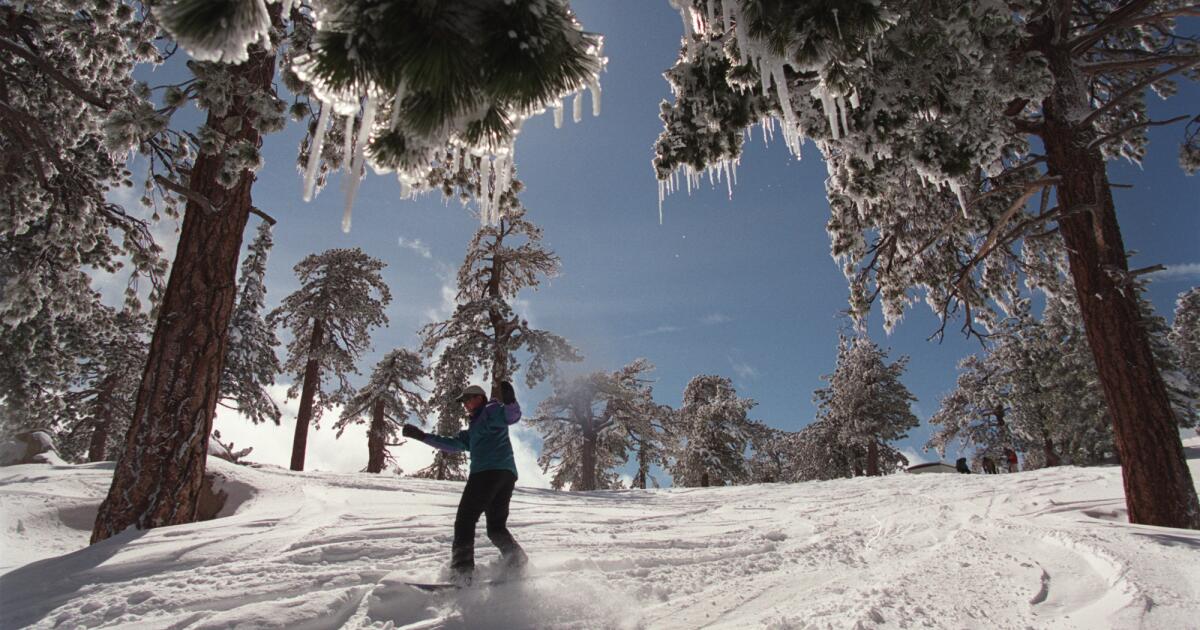 Commentary: Spring is an actual factor in L.A., should you go to the mountains