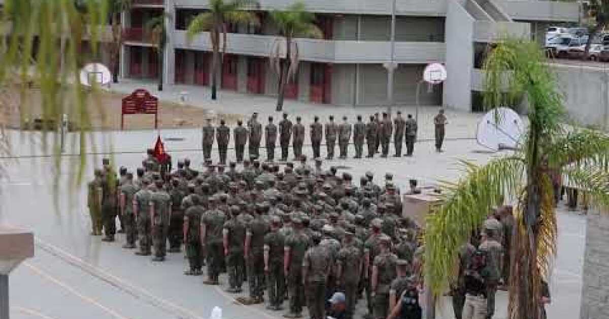 Videos Show Camp Pendleton Arrests Of Marines Suspected Of Human Smuggling Los Angeles Times