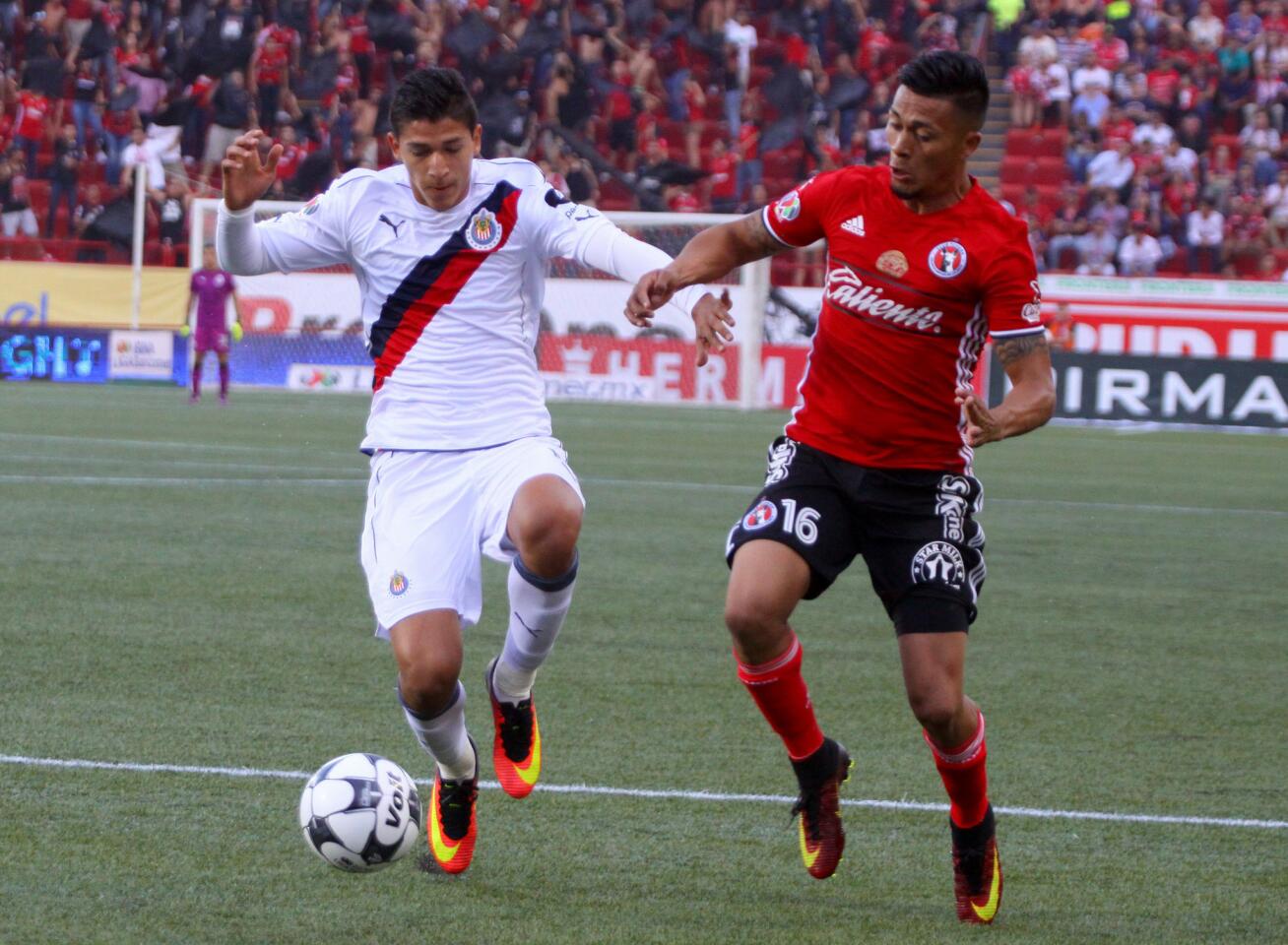 Apertura 2016: Xolos 4-0 Chivas