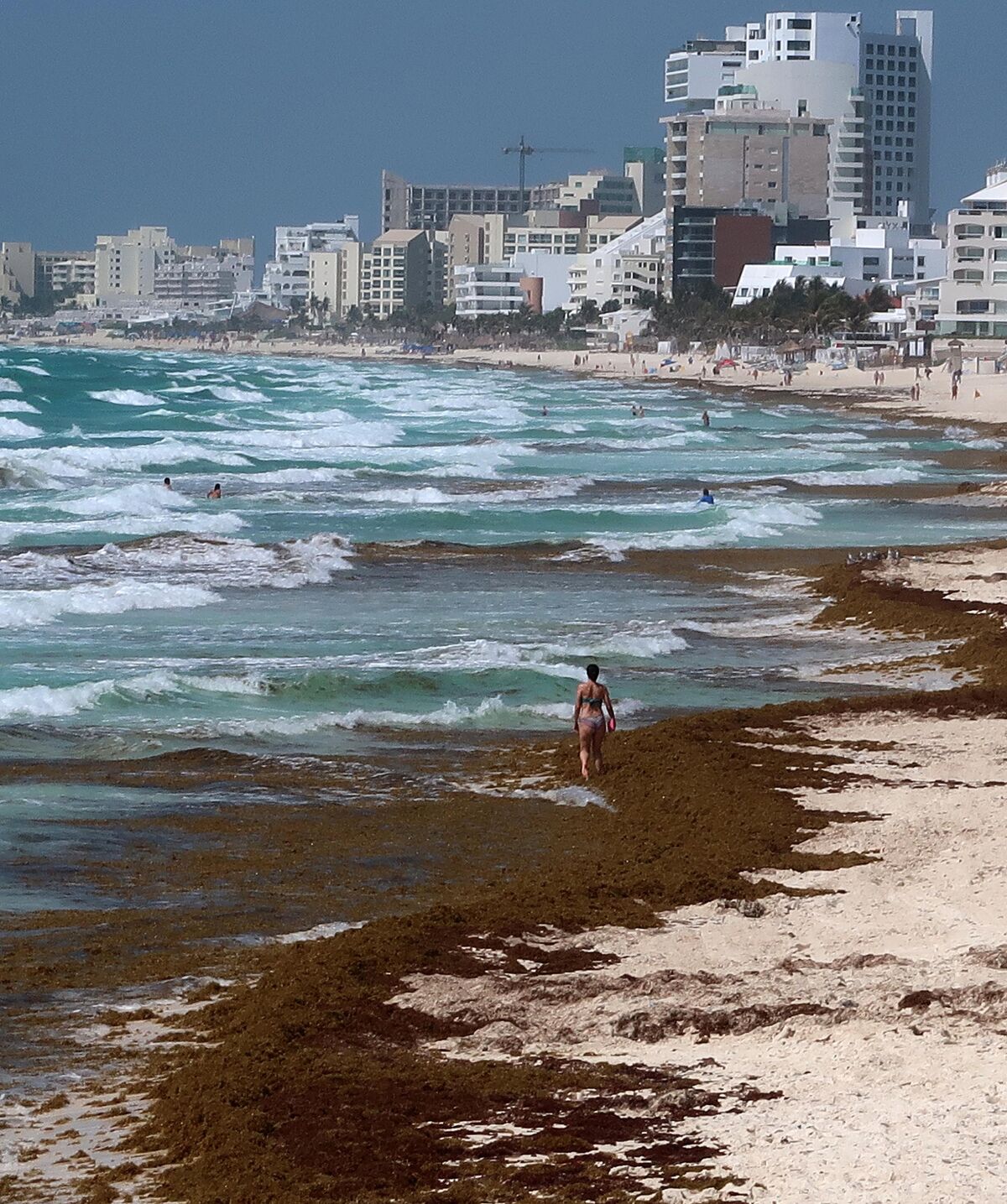 Mexico: Seaweed buildup on Caribbean beaches affecting tourism
