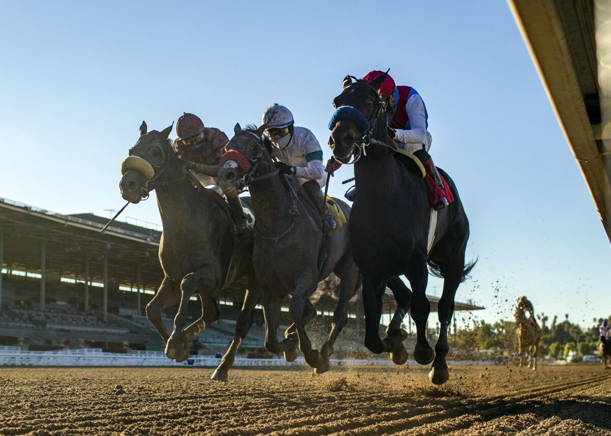 Medina Spirit holds off Roman Centurian and Hot Rod Charlie to win the Robert B. Lewis Stakes.
