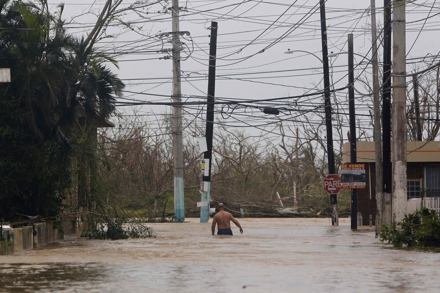A man wades through a flooded road in Fajardo on Wednesday.