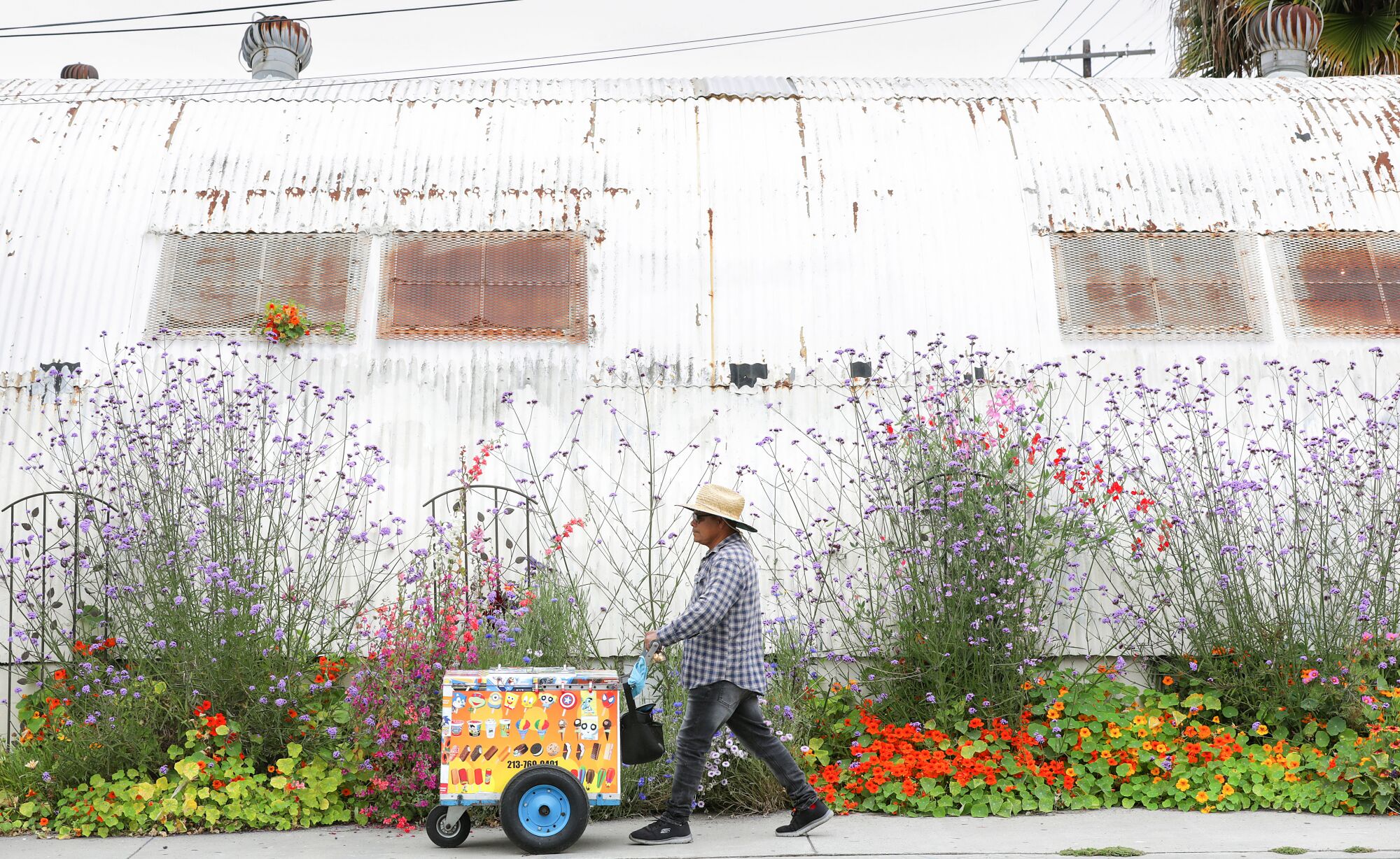 A person pushing a food cart passed the flowering plants of Plant Chica along the sidewalk.