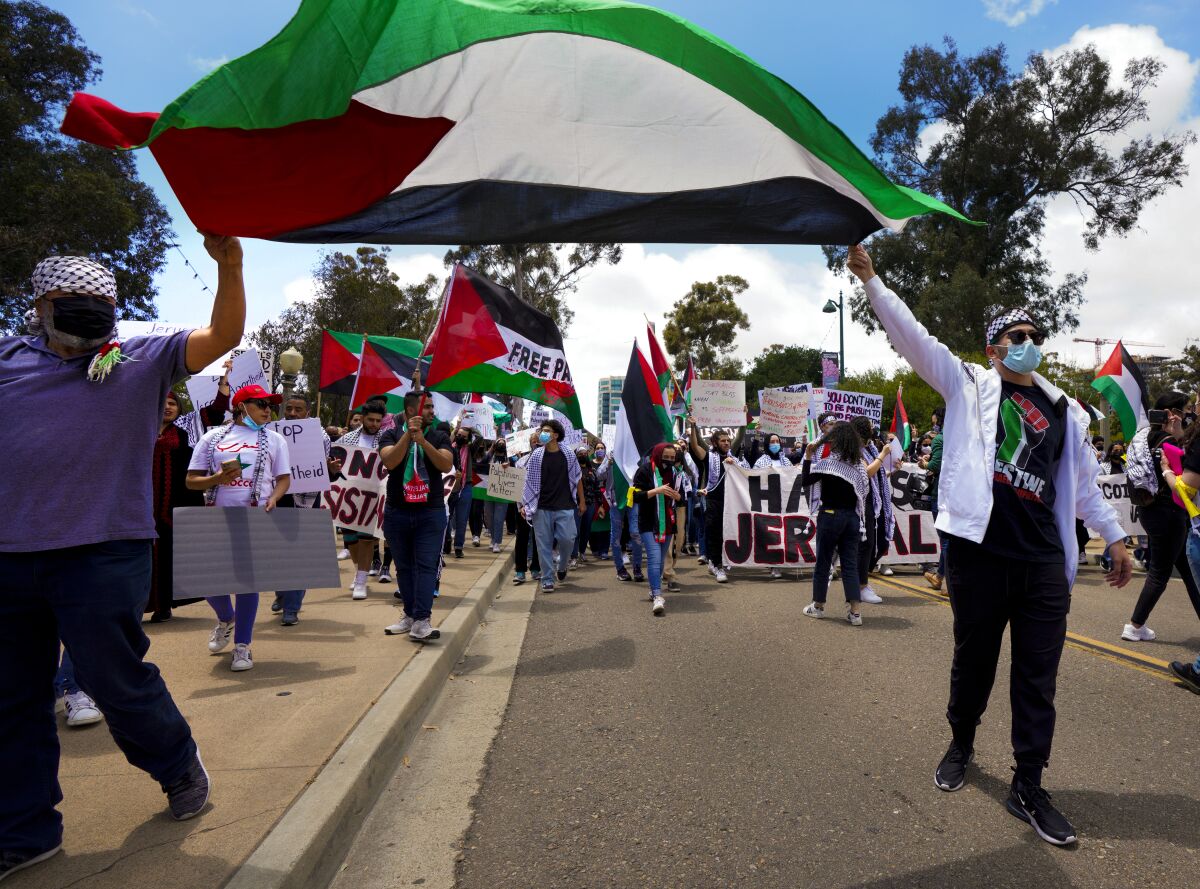 Ali Elfarra waved a Palestinian flag over his head as he marched with hundreds of people in support of Palestine