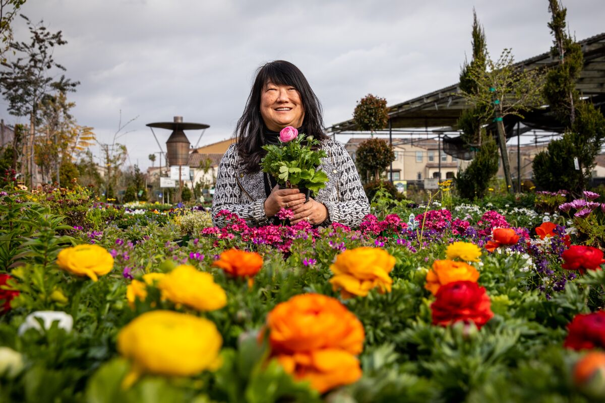 Mary Ishihara Swanton holds a pink flower and stands among blossoming plants