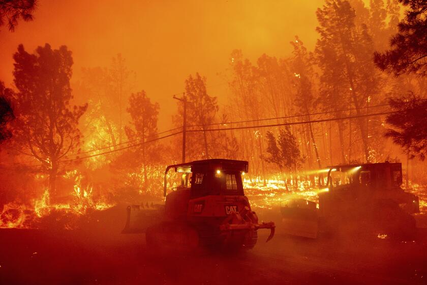 A hillside burns as the Park Fire tears though the Cohasset community in Butte County, Calif., on Thursday, July 25, 2024. (AP Photo/Noah Berger)