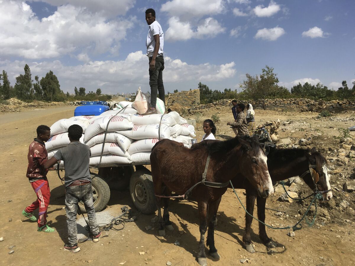 In this Tuesday Jan. 12, 2021 photo provided by the Catholic Relief Services, people affected by the conflict in Tigray load food aid provided by USAID and Catholic Relief Services onto a donkey cart to be tansported to their home, outside Mekele, Ethiopia. From “emaciated” refugees to crops burned on the brink of harvest, starvation threatens the survivors of more than two months of fighting in Ethiopia’s Tigray region. Authorities say more than 4.5 million people, or nearly the entire population, need emergency food. The first humanitarian workers to arrive after weeks of pleading with Ethiopia for access describe weakened children dying from diarrhea after drinking from rivers, and shops that were looted or depleted weeks ago. (Catholic Relief Services via AP)