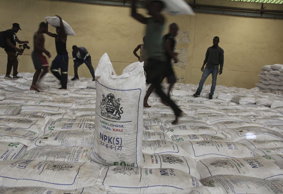 People collect bags of fertilizer in Lilongwe, Malawi