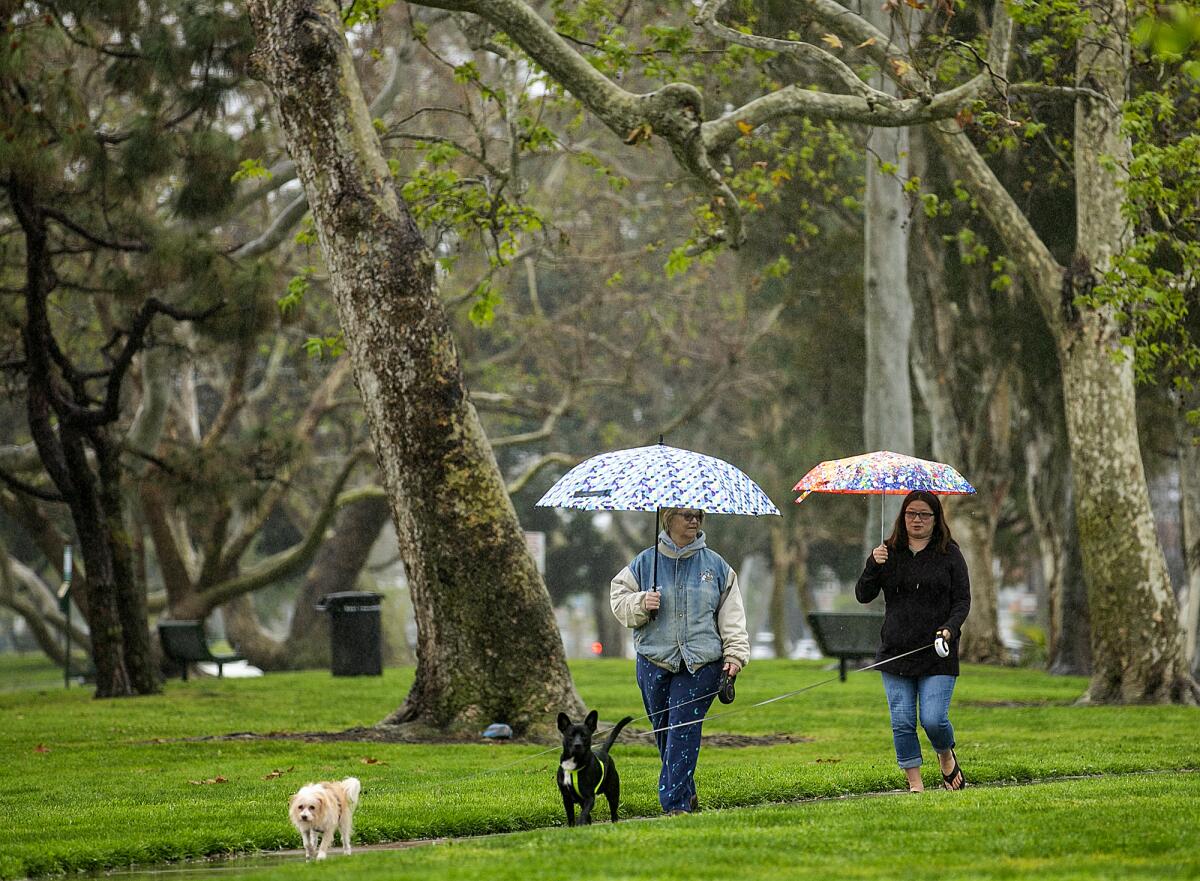 Nancy and Chloe Smith take their dogs Max and Bruno for a walk in Old Town Park at Seal Beach Friday afternoon.