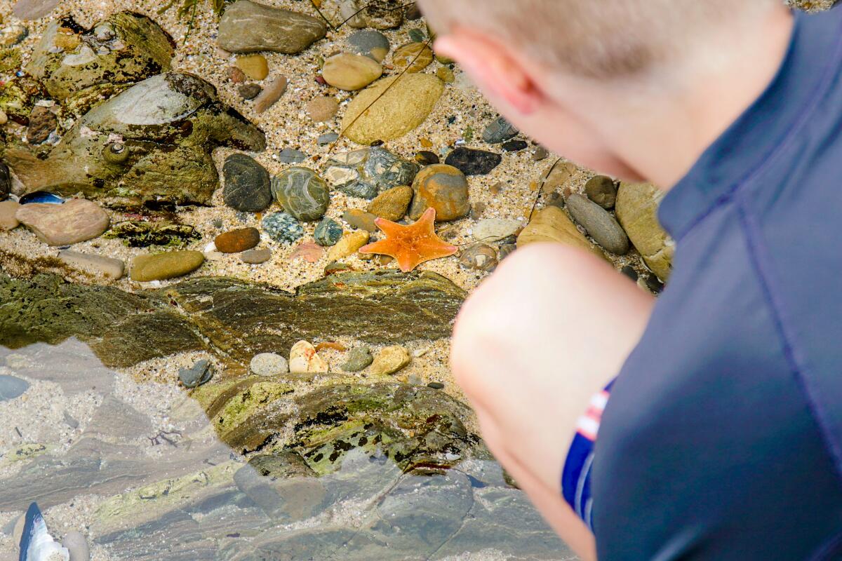 A view of the tide pools at Little Corona.