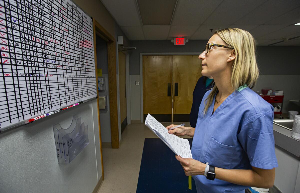 Dr. Angela Marchin checks a schedule on a whiteboard