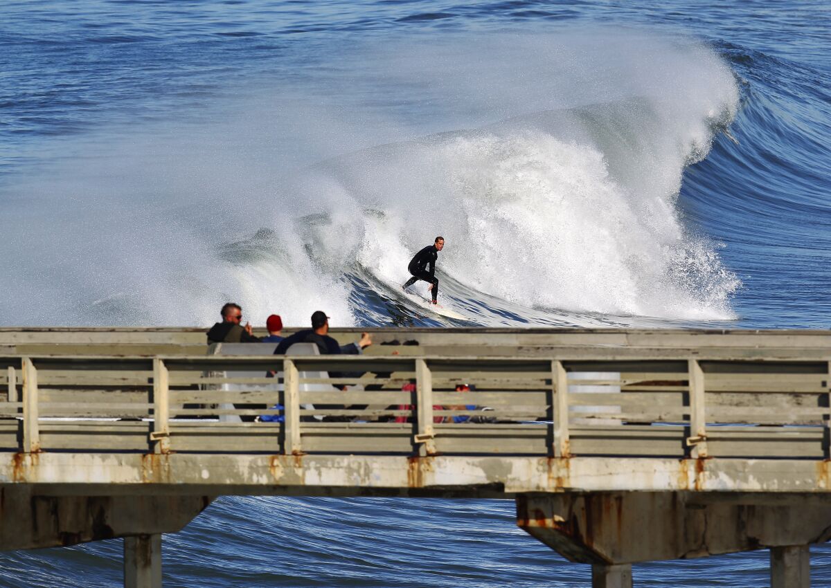 A surfer rides a wave near the Ocean Beach Pier.