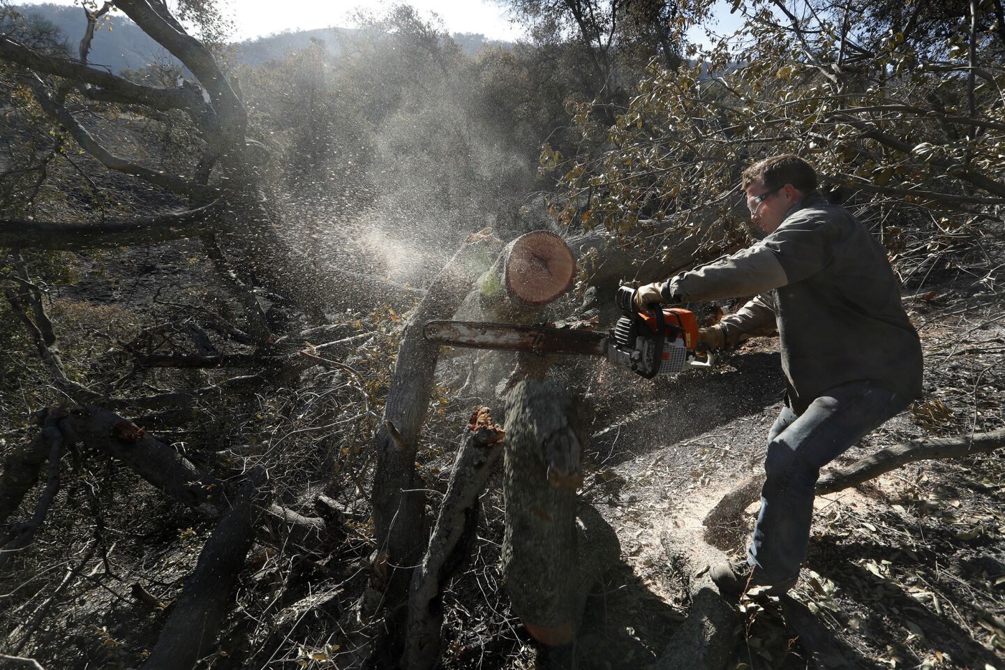 Trevor Quirk, the co-founder of the Upper Ojai Relief Center, cuts away a section of a partially fallen, burned oak tree.