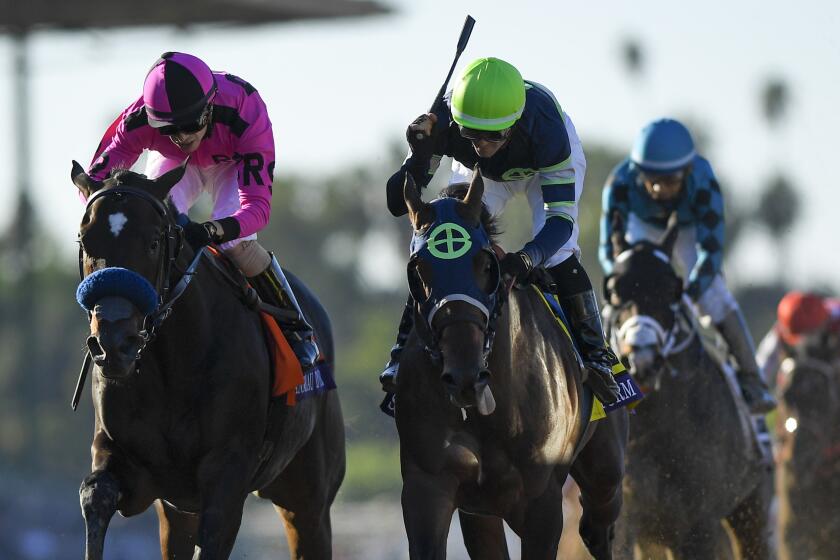Flavien Prat, right, starts to celebrate after Storm the Court edged out Anneau D'or, left, for the win in the Breeders' Cup Juvenile horse race at Santa Anita, Friday, Nov. 1, 2019, in Arcadia, Calif. (AP Photo/Mark J. Terrill)