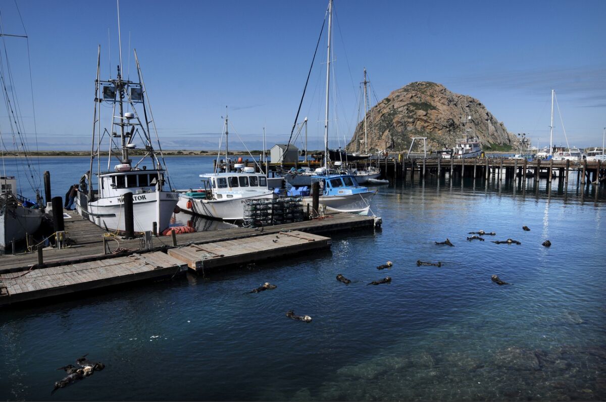 Marina at Morro Bay in San Luis Obispo County