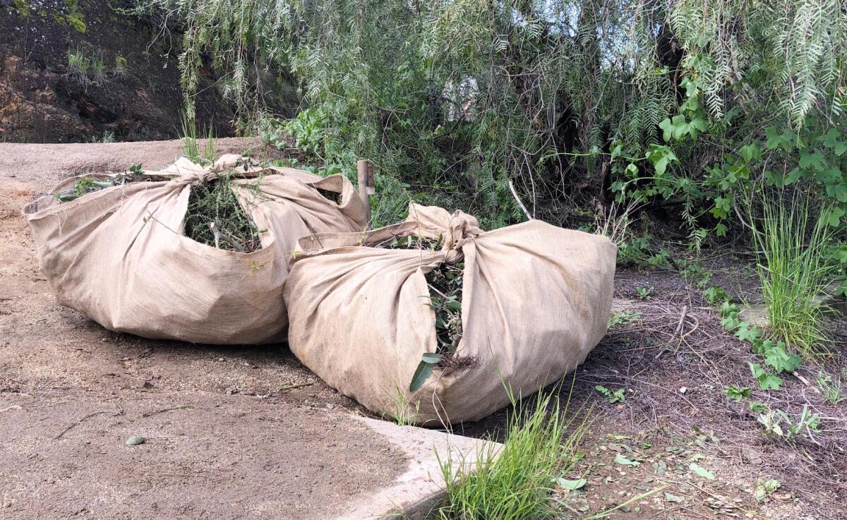 The city of Poway provides tools and picks up bags of trash during park and trail maintenance projects.