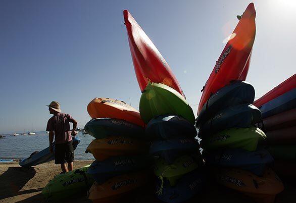 Descanso Beach Ocean Sports guide Micah Phillips, 35, counts out the proper number of kayaks before tourists arrive to take a guided wildlife kayak tour on the front side of Catalina Island. The three-hour tour leaves from Descanso Beach and goes northwest.