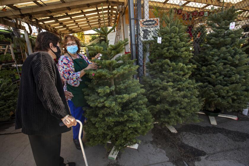 LOS ANGELES, CA - NOVEMBER 30, 2020: Maria Luz Lopez, right, helps long time customer Angela Zacarias pick out a Christmas tree at Avalon Nursery & Ceramics, owned and founded 33 years ago by Lopez. Zacarias said that she has been coming to the nursery since it opened. (Mel Melcon / Los Angeles Times)
